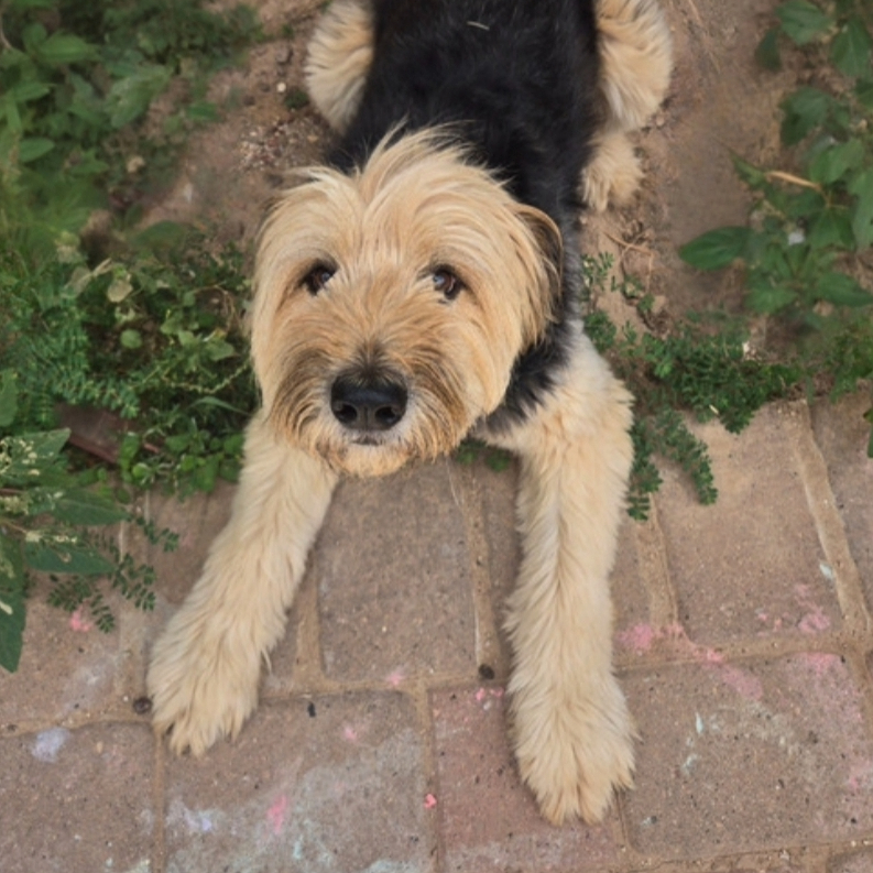 Adobe express file 2